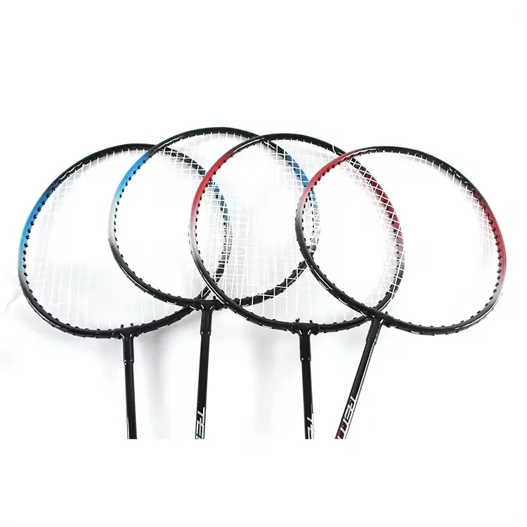 Racchetta per giocatore professionista di alta qualità pali porta porta porta racchette da badminton set di 4