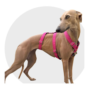 Harnais pour <span class=keywords><strong>chien</strong></span> anti-évasion rembourré, respirant, sans traction, 3 points, pour chiens de taille moyenne à grande, pour la marche et la course - Product Image 5