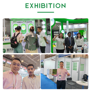 אבקת תמצית פטריית ריישי באיכות מזון, פוליסכרידים 10%20%30%40%50%, תמצית גנודרמה לוסידום - Product Image 6