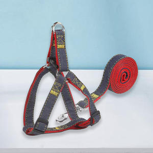 Coleira para Cães Decorada com Fita de Nylon Colorida Ajustável e Ecológica, Atacado de Fábrica - Product Image 5