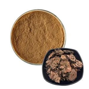 Factory Supply Pure Natural Organic Salidroside Rhodiola Rosea Extract Powder