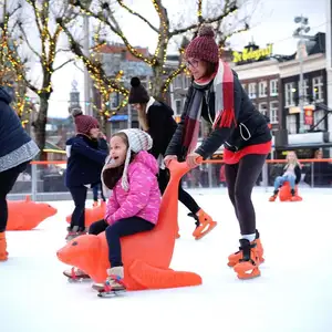 Hochwertige profession elle synthetische Eishockey Training Skating Rink Aid