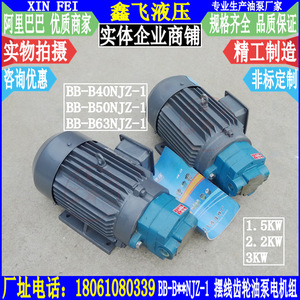 BB-B40NJZ-1 B50NJZ B63NJZ Cycloidal Gear <b>Oil</b> Pump Motor Unit 2.2KW YE2100L-4 Product Category <b>Hydraulic</b> Motors - Product Image 1