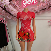 G99999C 2026 Summer Hot Sale Women Print Mesh Dress
