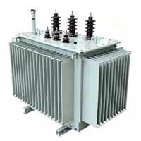 Transformateur de distribution triphasé immergé dans l'huile pour usage agricole et parcs industriels, 30 kVA, 63 kVA, 80 kVA, 125 kVA, 6 kV, 10 kV