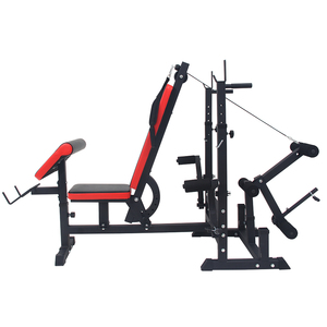 Banco de Ejercicios Multifuncional de Metal Ajustable para Gimnasio en Casa, Capacidad Máxima de Usuario 120 kg - Product Image 2