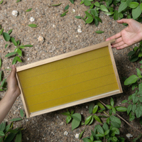 Cadres de ruche Langstroth en bois de sapin de Chine, les plus vendus, avec feuille de fondation en cire et fil d'acier inoxydable, certifiés 1