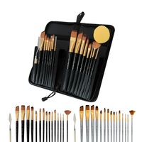 Lot de 17 pinceaux à pointe de peinture avec grattoir et éponge pour artiste avec sac en nylon