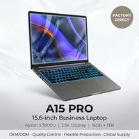Portátil Empresarial de 15.6 Pulgadas, AMD Ryzen 5 5500U, 16GB RAM, 512GB SSD, Windows 11, Venta al Por Mayor, OEM, ODM, Fábrica Global