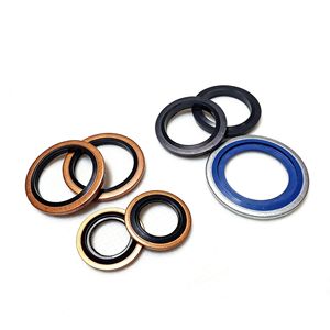 Junta de Sellado Combinada de Acero Inoxidable 316 + Goma FKM, Resistente a la Corrosión a Altas Temperaturas, Grosor de 1 mm, Tamaño en Pulgadas - Product Image 4