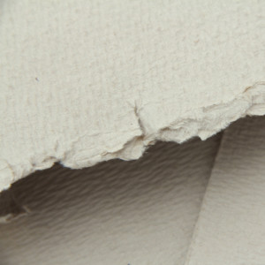 Cellulosa di Bambù Vergine Sbiancata e Non Sbiancata per la Produzione di Carta Igienica, Materia Prima - Product Image 2