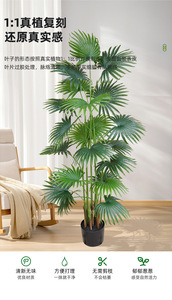 Decoración de Paisaje a Gran Escala con Palmera, Planta en Maceta de Palmera de Alta Gama, Tacto de PE, Planta de Hojas Verdes, Palmera - Product Image 2