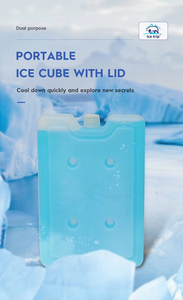 Wholesale Leakproof Customizable Shapes Cooler Box Use HDPE Reusable Gel Ice Pack <strong>Freezer</strong> Gel <strong>Block</strong> for Cold Chain Storage - Product Image 4
