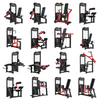 Appareil de musculation professionnel double fonction pour les jambes : machine à flexions et extensions avec pile de poids