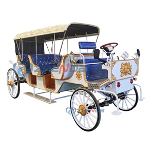 Voiture électrique blanche de type Victoria pour le tourisme, avec sièges bleus, à prix abordable, pour transport spécial. - Product Image 2