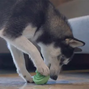 Gıda interaktif evcil hayvan topu çiğnemek köpek oyuncak iyi tasarlanmış Mobius sihirli haddeleme sızdıran aktivite köpek oyuncak top köpek interaktif oyuncak