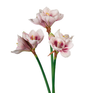 Fleur artificielle en PU <span class=keywords><strong>Amaryllis</strong></span>, haut de gamme, nouveau style chinois, pour salon, table, entrée, mariage, décoration de fête, <span class=keywords><strong>Amaryllis</strong></span> - Product Image 5