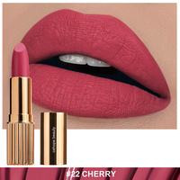 Rouge à lèvres longue tenue végétalien, imperméable, fini mat velours givré, anti-transfert, aspect naturel, gloss à lèvres personnalisé effet brume, OEM
