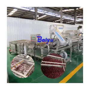 Промышленная воздушно-пузырчатая стиральная машина Baiyu для обработки фруктов и овощей, эффективная и надежная, с основным насосом