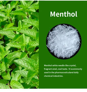 Natural 99% Mentol Cristal Eucalipto Óleo Borneol Bulk Discount Price Skin Made Herbal Folha Ingredientes Óleos Essenciais Naturais - Product Image 6