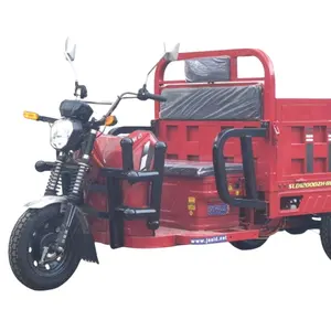 Low Speed Scooter Electric Electric Pedicab 4 Wheel Tricycle Electrique Car For Adult