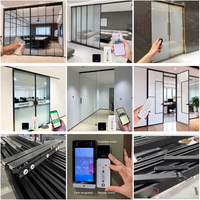 Puerta Corredera Automática con Motor de Accionamiento Directo HDSAFE a Precio de Fábrica para Mayoristas de Inventario, Puerta de Vidrio sin Marco con Sensor para Oficina