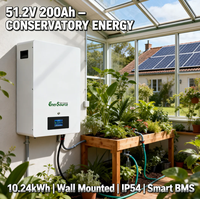 Baterai Lithium Ion 10kWh 48V 51.2V 200Ah untuk Sistem Surya Terpasang di Dinding