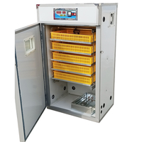 Incubateur et éclosoir automatique pour poulets à usage domestique, capacité 440 œufs, avec taux d'éclosion élevé
