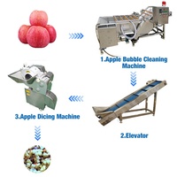 Geavanceerde fruitverwerkingslijn voor pruimen, tomaten, meloenen, mango's, ananas, appels: wassen, ventilatie-droging, sorteermachines