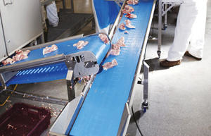 Meyve tavuk ekmek için sonsuz gıda taşıma bandı PU konveyör bant - Product Image 4