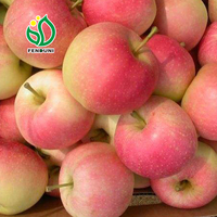 Fruit de pomme douce/pomme Gala/pomme Fuji prix 20kg/carton