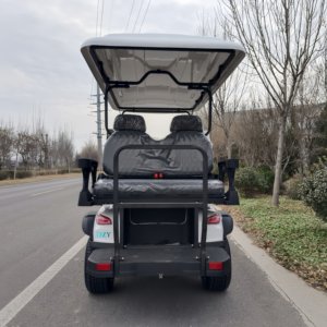 Voiturette de golf électrique 4 places, directement d'usine, nouveau design, 72V Lithium, roue de voiturette de golf 48V Evolution pour une chasse économe <span class=keywords><strong>en</strong></span> carburant - Product Image 4