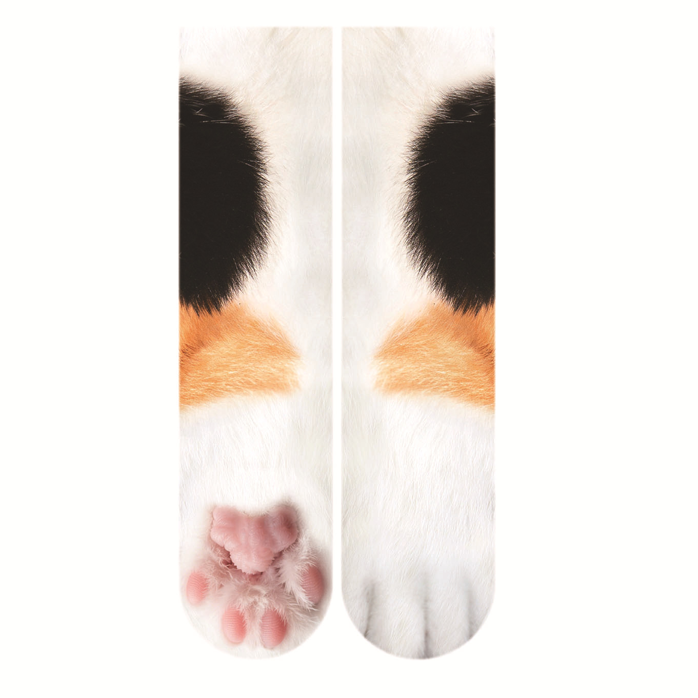 Griffe de chat blanc