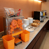 Commerciële automatische sinaasappel/zilveren fruitpersmachine, capaciteit 20 sinaasappels/minuut