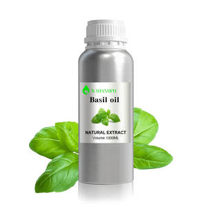 Huile de <span class=keywords><strong>basilic</strong></span> pur Ocimum Basilium Huile essentielle Fabricant à la quantité en vrac Huile de <span class=keywords><strong>basilic</strong></span> pur - Product Image 3