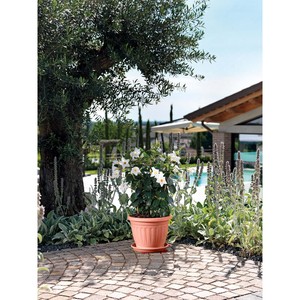 Vaso 'FIRENZE' cm 30x23h (base 18 cm) - Product Image 3