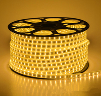 Chip LED BMTC Merek Epistar SMD2835 Bahan Ingan Putih Alami 1W 3-18V 6000-6500K Pertumbuhan Tanaman Garansi 2 Tahun CE RoHS