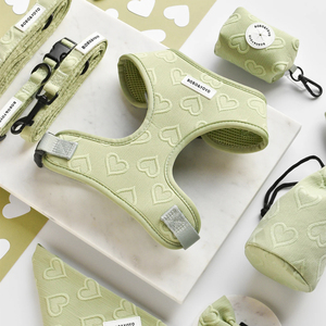 Nuovo Set di Pettorina e Guinzaglio per Cani e Gatti di Alta Qualità, Design di Lusso Personalizzato con Logo Stampato, Senza Trazione, 2026 - Product Image 3