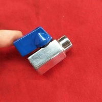 Mini-vanne à boisseau sphérique en acier inoxydable 304/316 sur mesure avec extrémité à souder