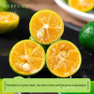 1 Verse Citroen Verse Melk Thee Mandarijnschil Hainan Groene Kumquat 5 Kleine Groene Limoenen-Seizoensgebonden Puree Bulkverpakking Gekleurd - Product Image 2