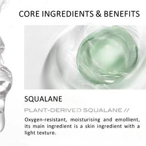 Halal Cosmetic Niacinamide Squalane Facial <b>Serum</b> Anti Wrinkle Anti Aging Fade Spots Skin Care <b>Serum</b> for <b>Face</b> - Product Image 6