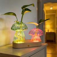Vase en verre LED en gros, pot hydroponique de table avec couvercle en liège, station de propagation de plantes, vase à fleurs de bureau avec base en bois