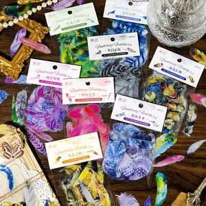40 unids/pack DIY serie de plumas de fantasí<span class=keywords><strong>a</strong></span> diario de mascotas Pegatinas transparentes decorativas acabado de superficie de estampado dorado para Base de Collage - Product Image 1