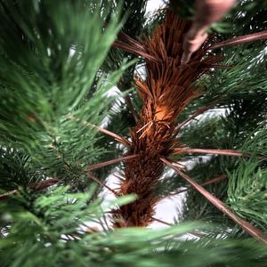 Árbol de Navidad de PVC y PE sin Olor con Ramas Realistas, Diseño Nuevo 2026, para Decoración del Hogar - Product Image 2
