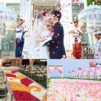 Prix d'Usine 100 Pièces Pack Romantique Tissu Rose Fleur Soie Séchée Fleurs Artificielles Simulation Pétales de Rose pour Décoration