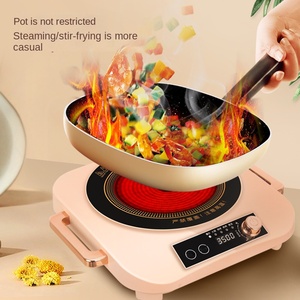 Oferta Especial: Cocina de Inducción Eléctrica de un Solo Quemador, Carcasa de Plástico, Control Táctil, Uso Comercial, 3000W, Multifunción - Product Image 2