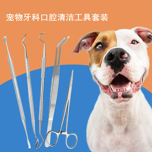 Stainless Steel Dental Tool Set Double Headed Tartar Remover Hoe Shaped Cleaner Oral Hygiene Kit For Teeth Cleaning - Product Image 2