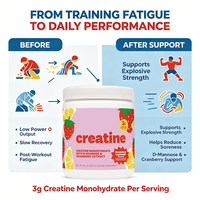 Créatine monohydrate en poudre OEM, saveur limonade à la fraise, à mélanger avec de la protéine de lactosérum en poudre pour soutenir l'entraînement en salle de sport, 275 g