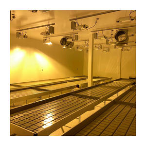 Ampliamente utilizado en agricultura, Banco rodante, mesa de cultivo, Banco rodante, poste de enrejado personalizado hidráulico para plantación de invernaderos agrícolas - Product Image 5