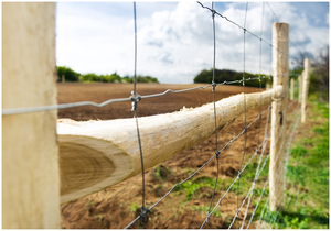 2025 çin tedarik fabrikası at ve inek için çiftlik çiti alan çit gücü hayvancılık çit sistemi - Product Image 4